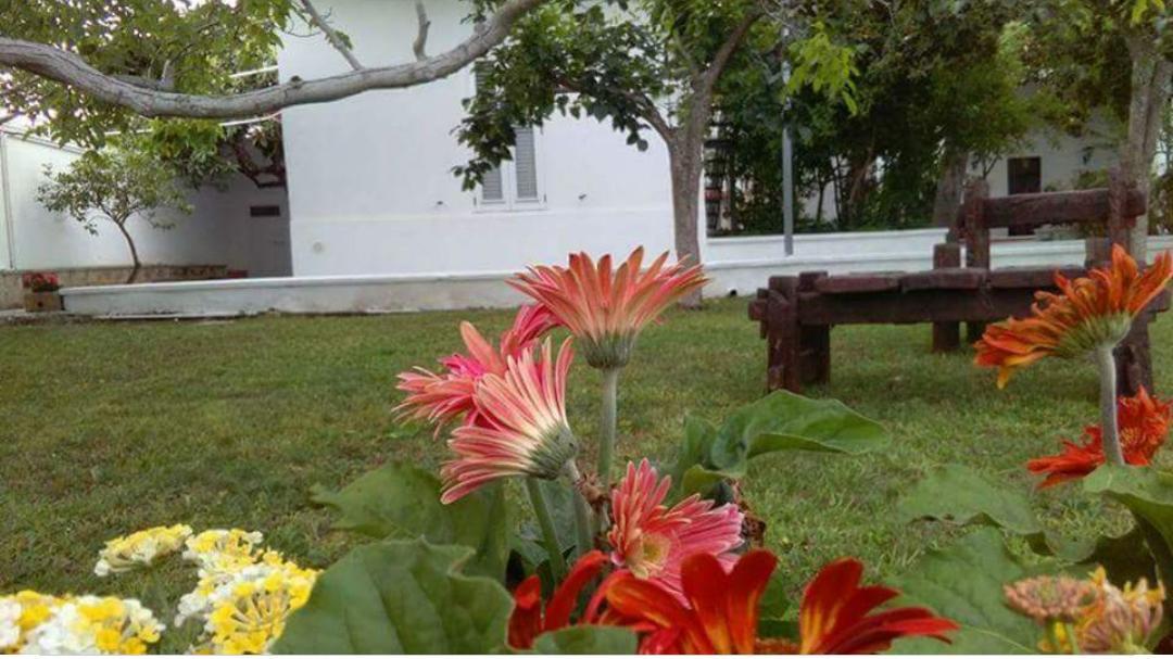 Borgo Fiore Country House Salice Salentino Exterior photo